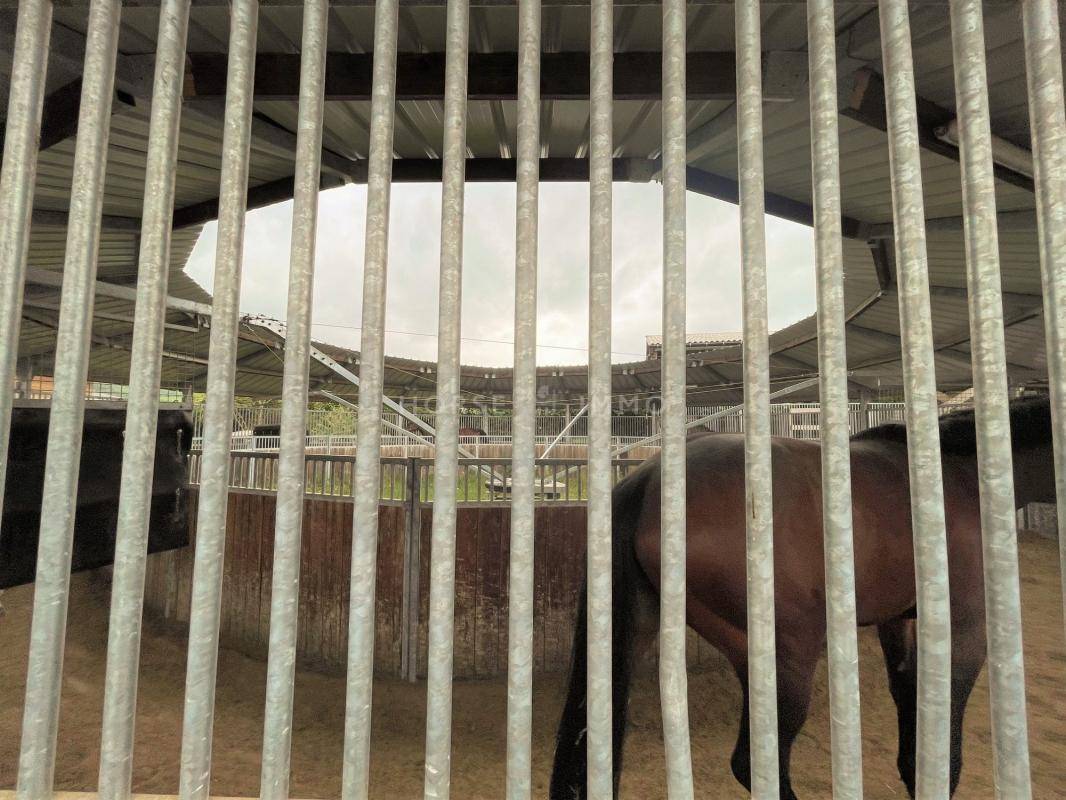 Centro di stagione cavallo In vendita Yonne