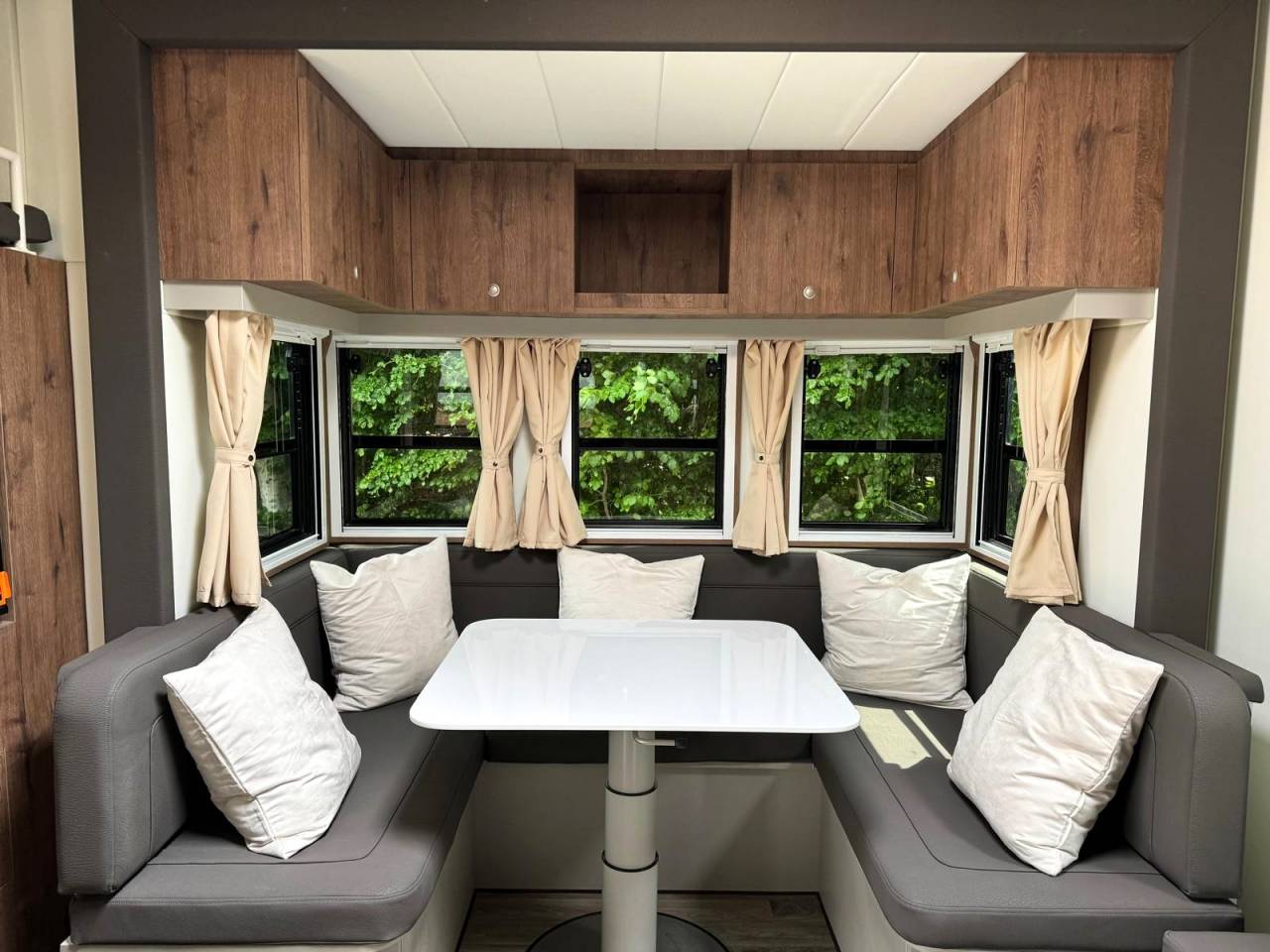 Camion per Cavalli Man MAN 0 Nuovo