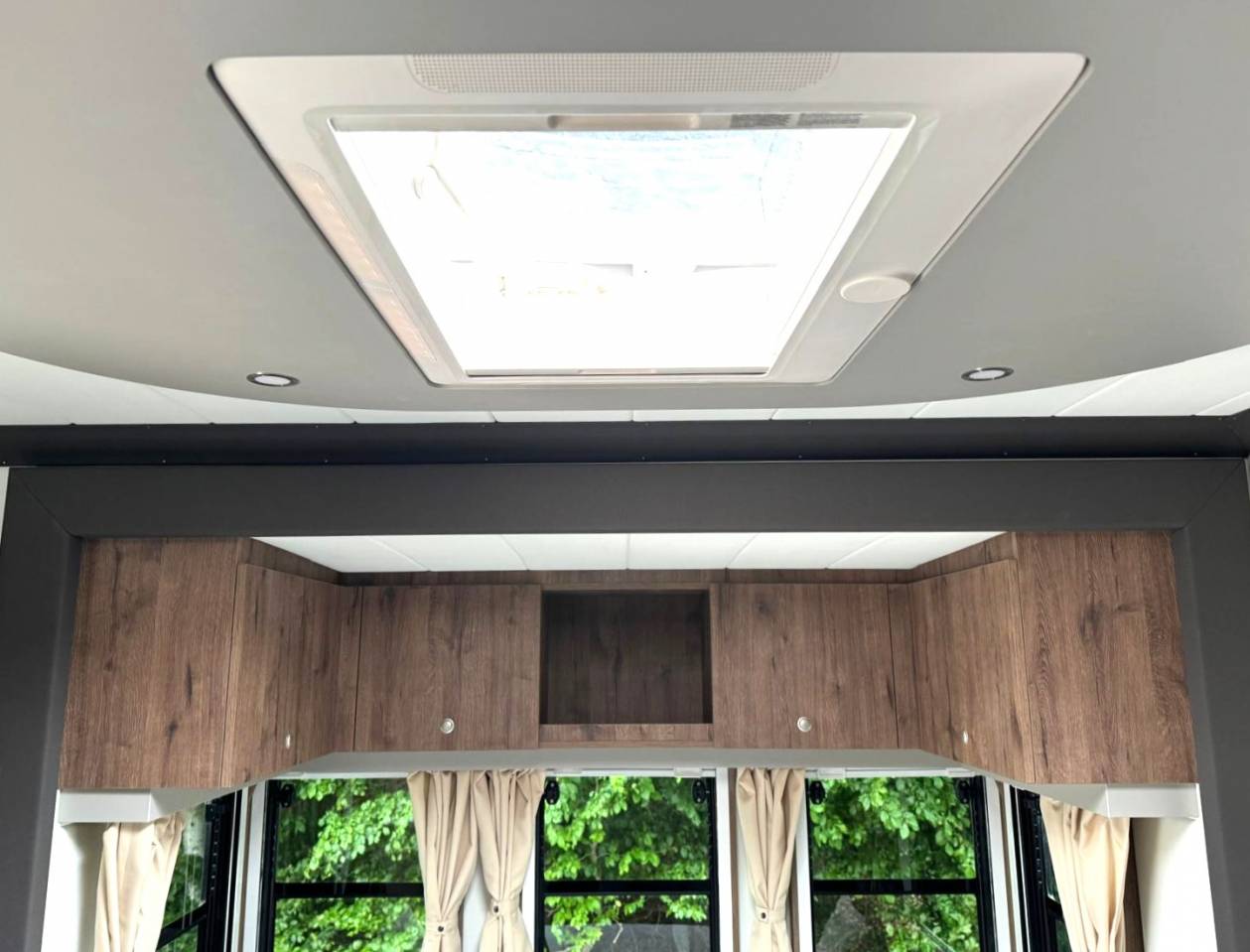 Camion per Cavalli Man MAN 0 Nuovo