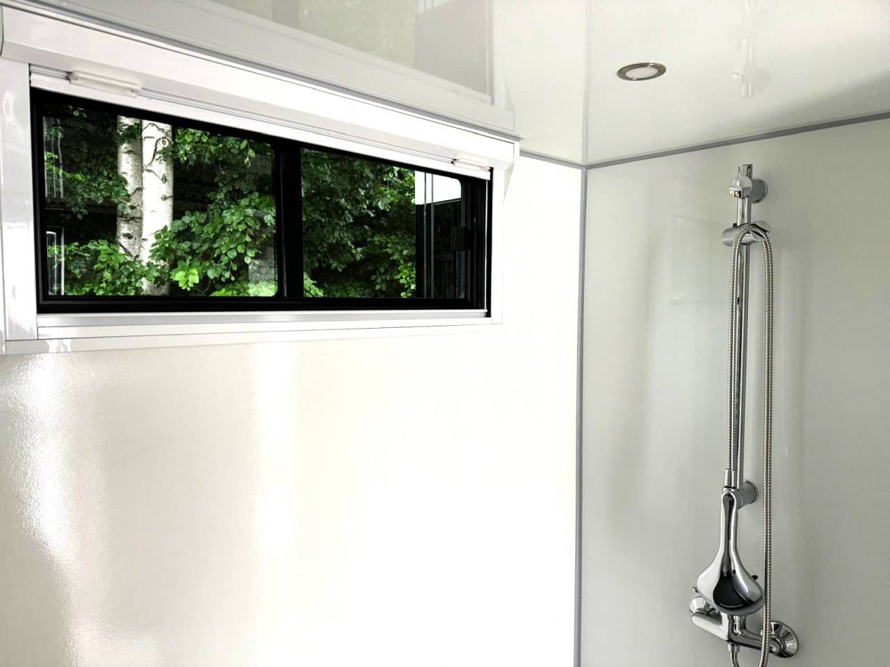 Camion per Cavalli Man MAN 0 Nuovo