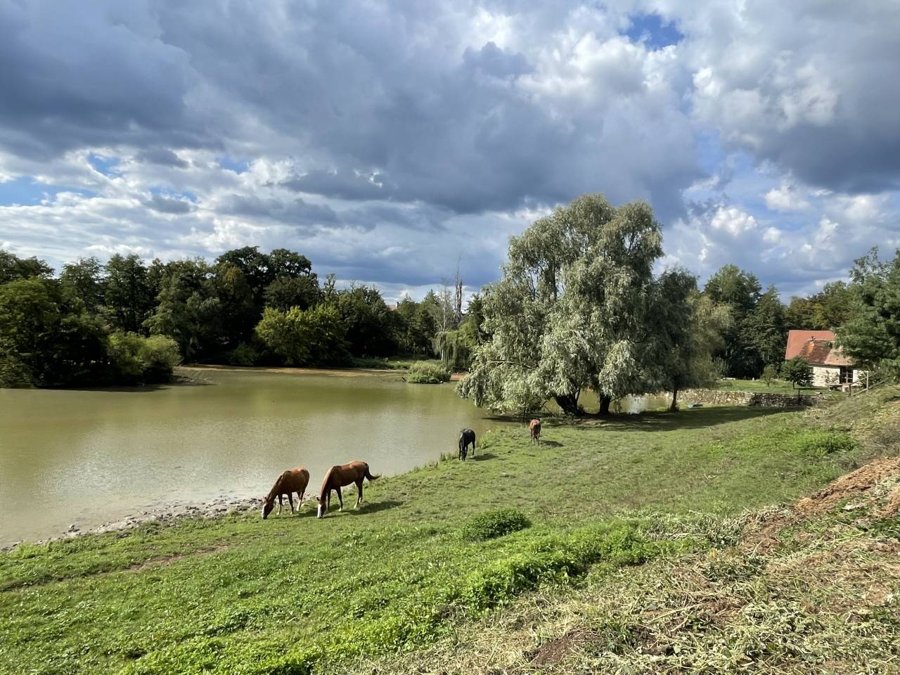 Écurie Alexia Molina 