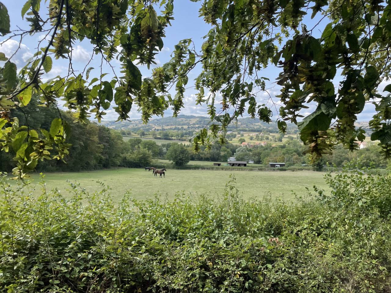 Écurie Alexia Molina 