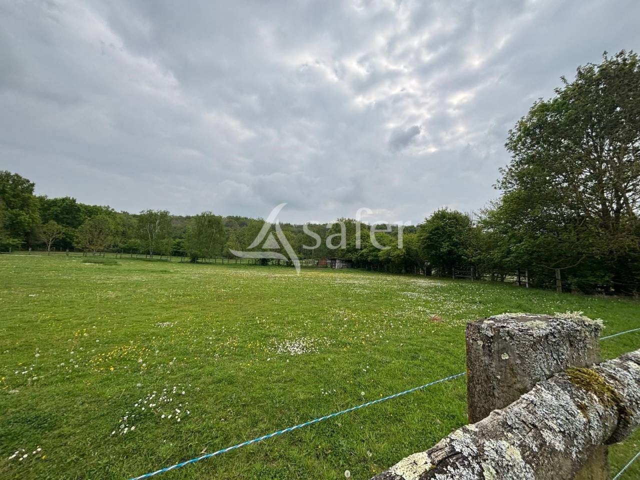 Proprietà equestre In vendita Essonne