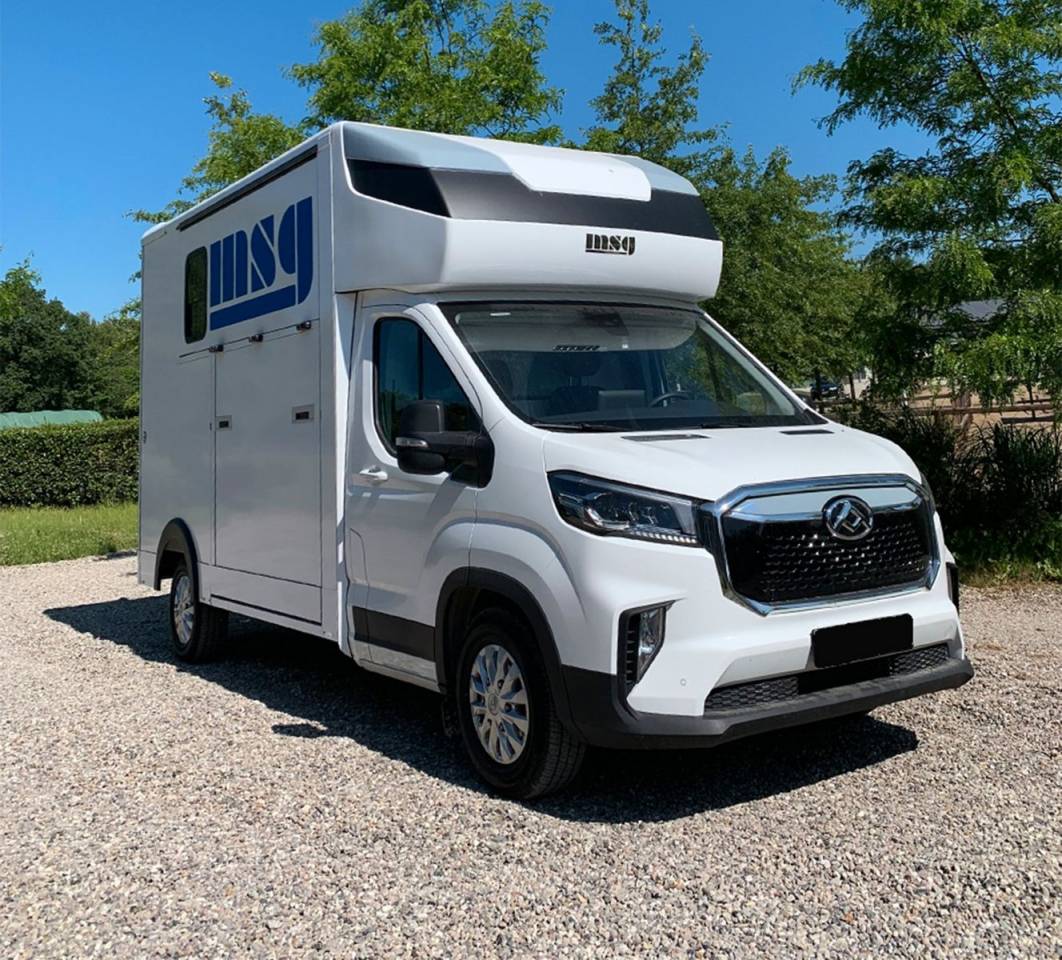 Van per Cavalli Altra marca MAXUS 0 Nuovo