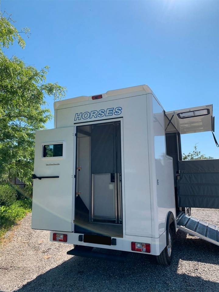 Van per Cavalli Altra marca MAXUS 0 Nuovo