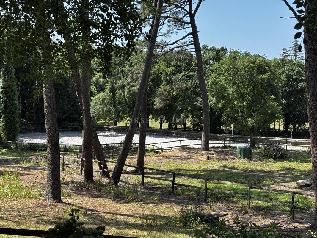 Proprietà equestre In vendita Morbihan