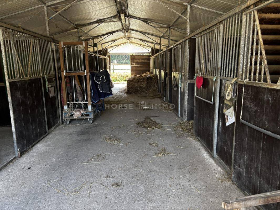 Proprietà equestre In vendita Morbihan