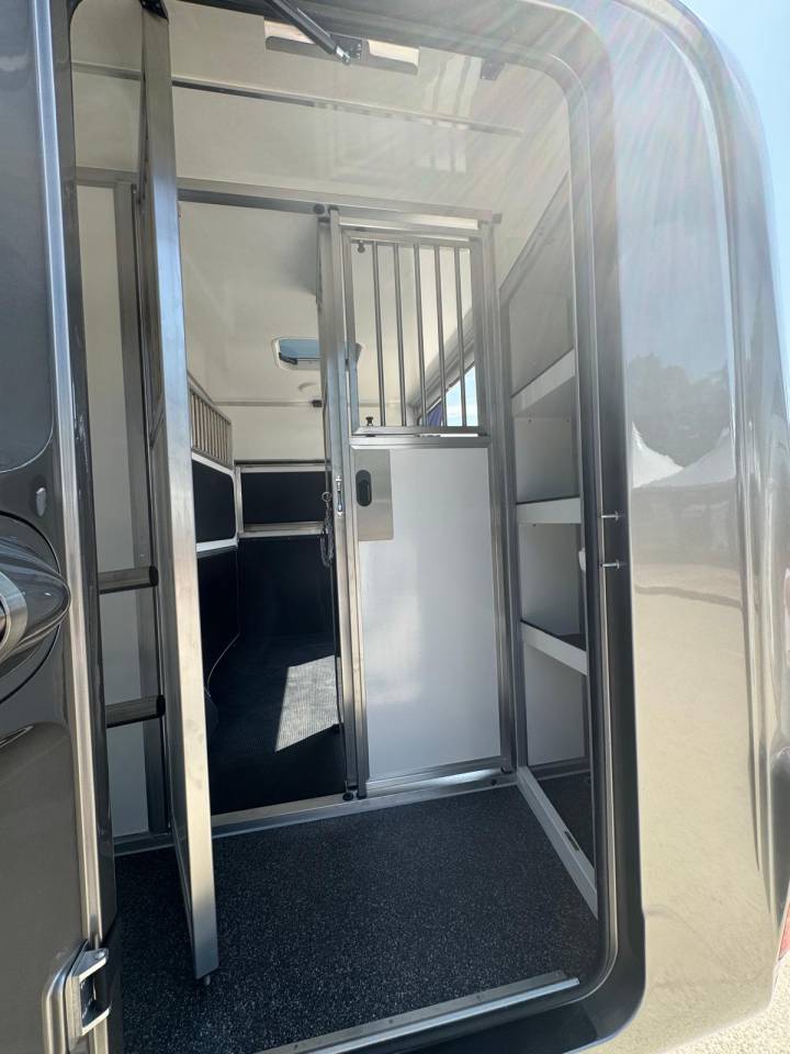 Van per Cavalli Krismar  2025 Nuovo