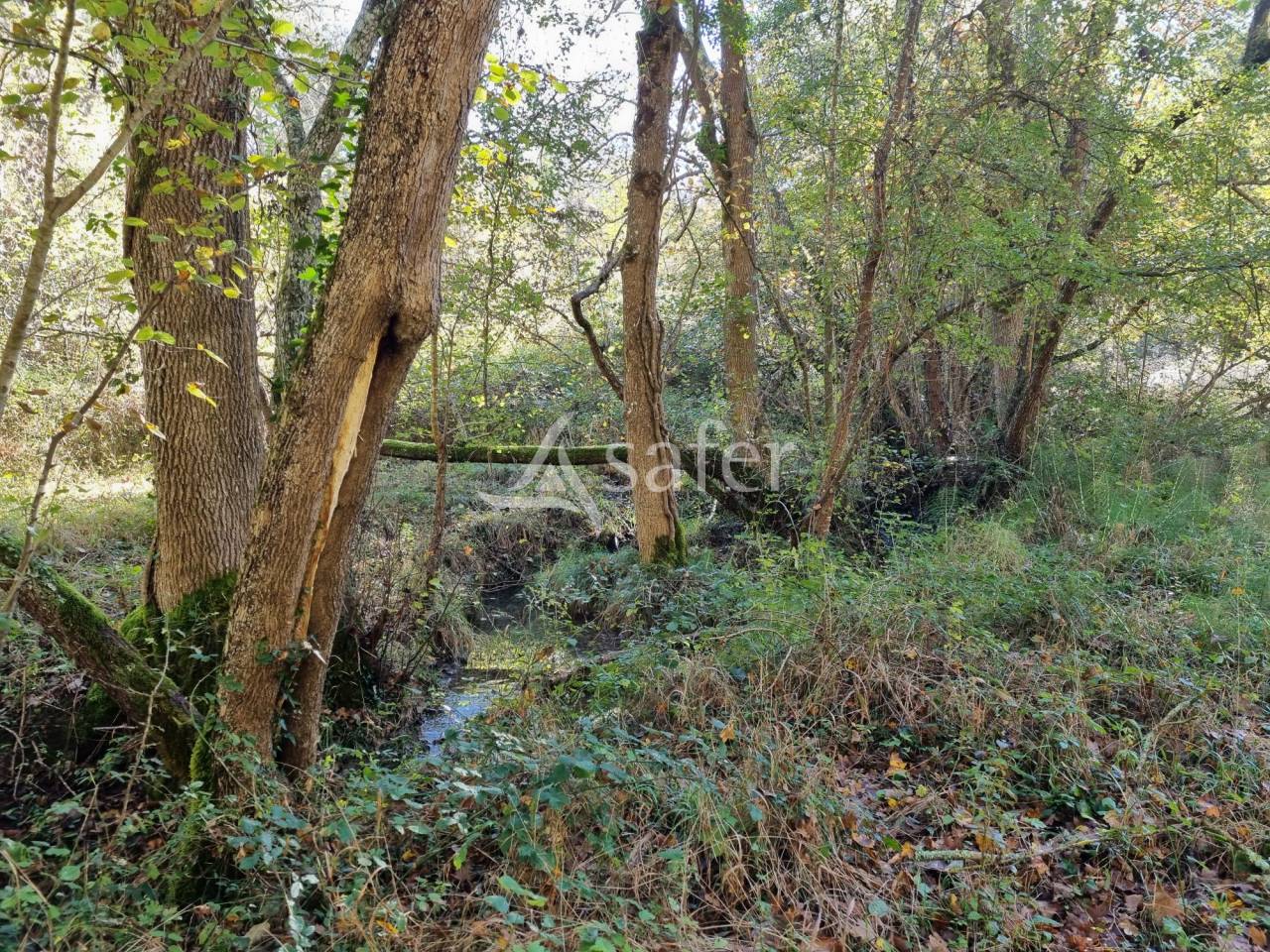 Proprietà rurale In vendita Ariège