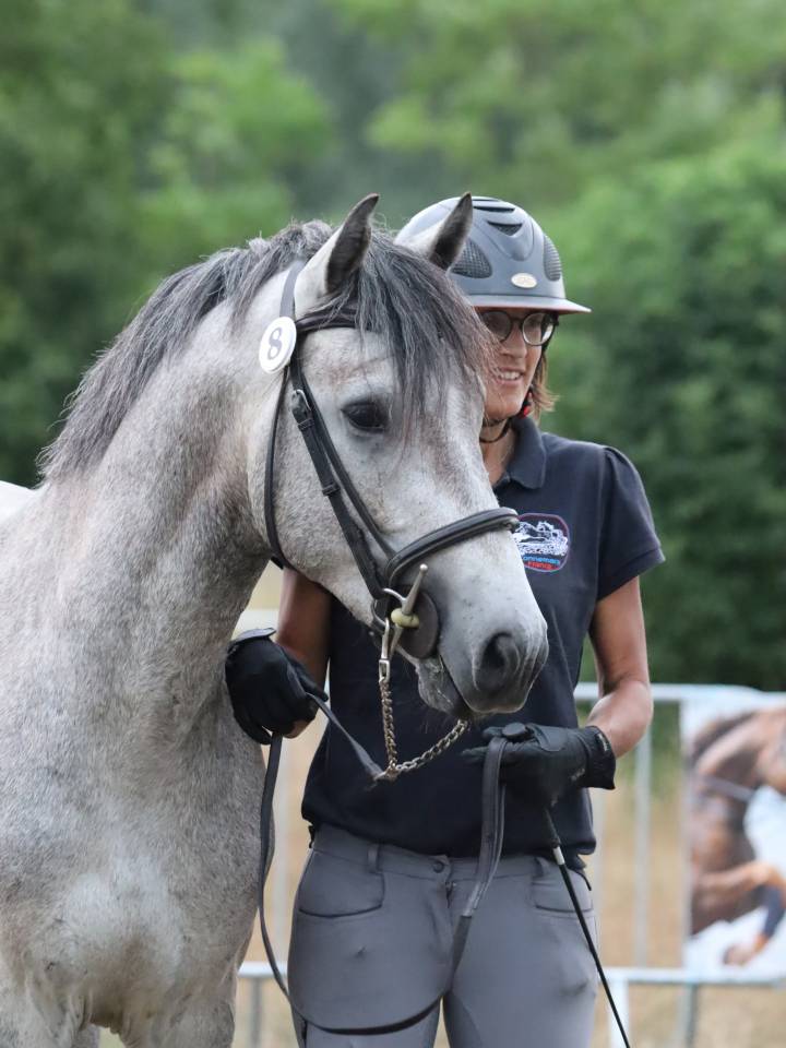 Intero Connemara In vendita 2022 Grigio ,  Folk’n rock Rhapsody