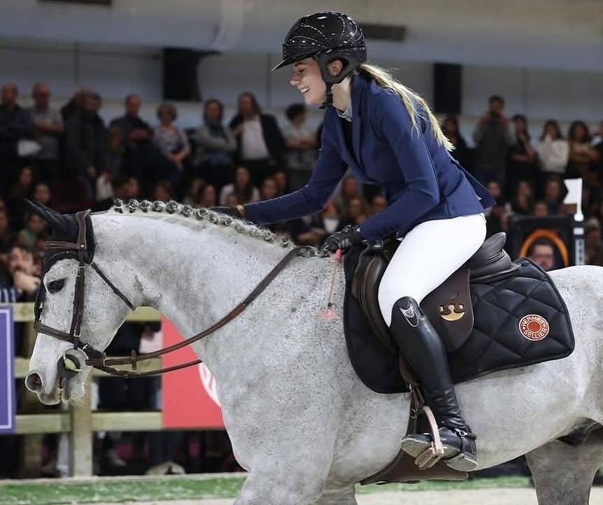 Castrone PFS Pony Francese da Sella In vendita 2015 Grigio ,  PRESIDENT