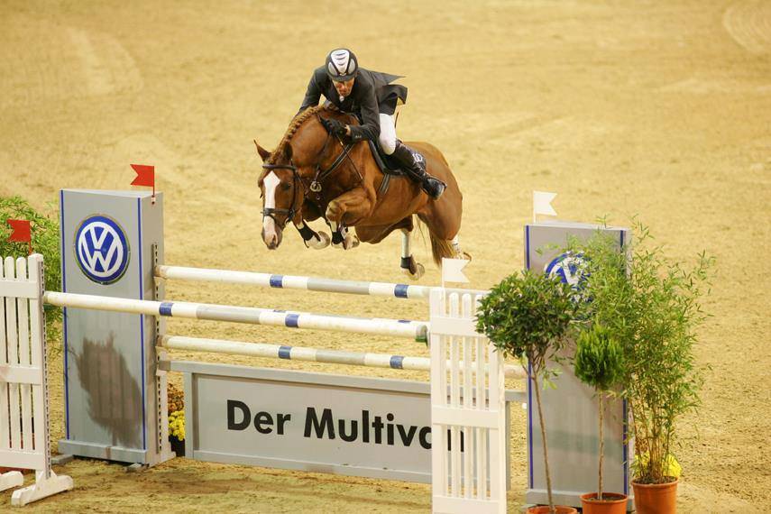 Castrone PFS Pony Francese da Sella In vendita 2023 Tobiano