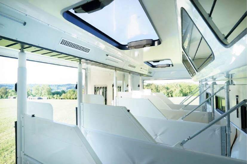 Camion per Cavalli Man MAN 0 Nuovo