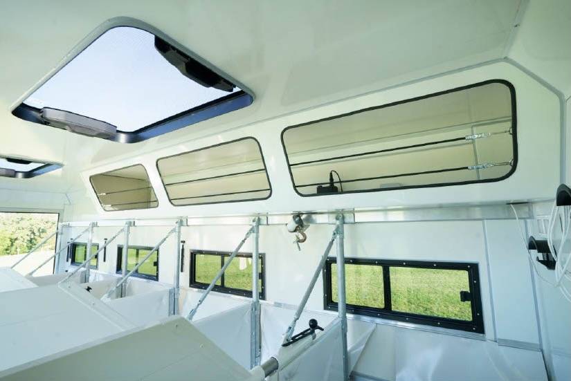 Camion per Cavalli Man MAN 0 Nuovo