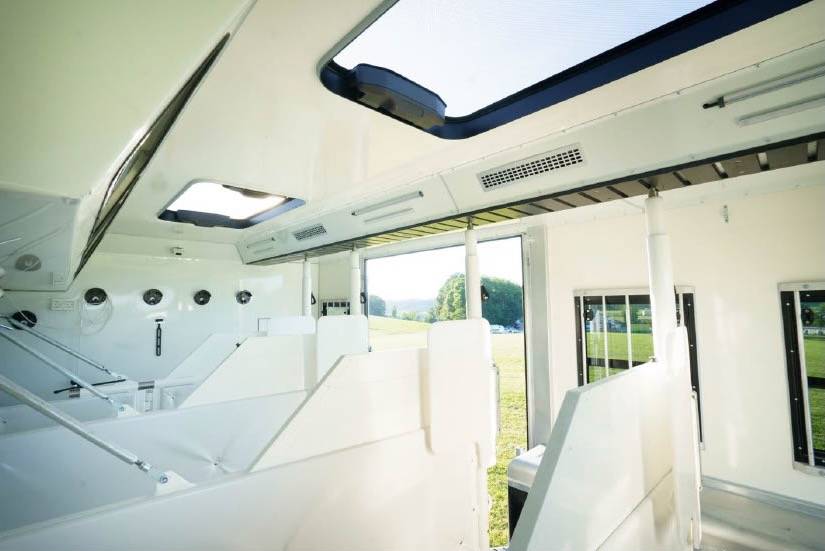 Camion per Cavalli Man MAN 0 Nuovo