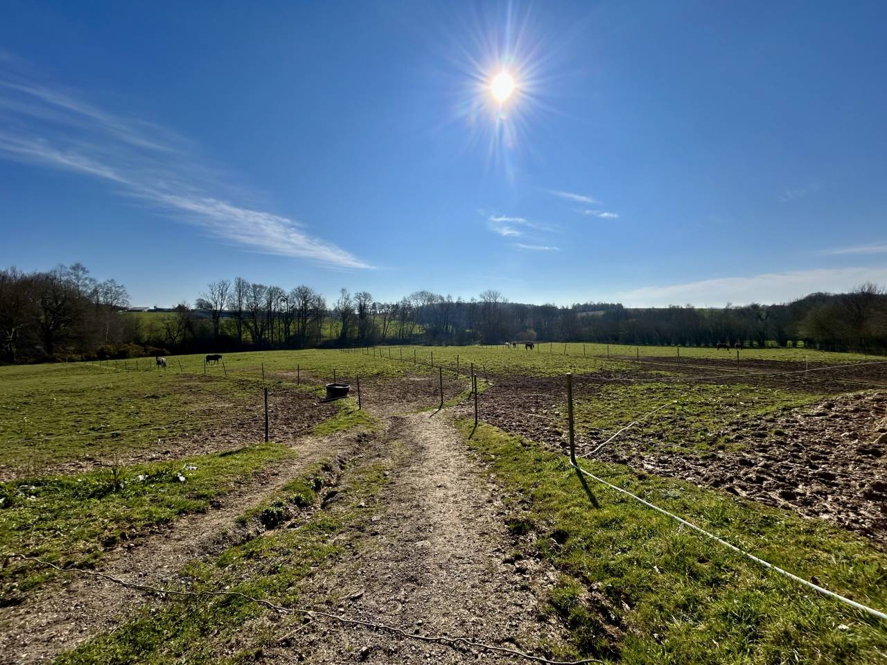 Centro ippico In vendita Morbihan