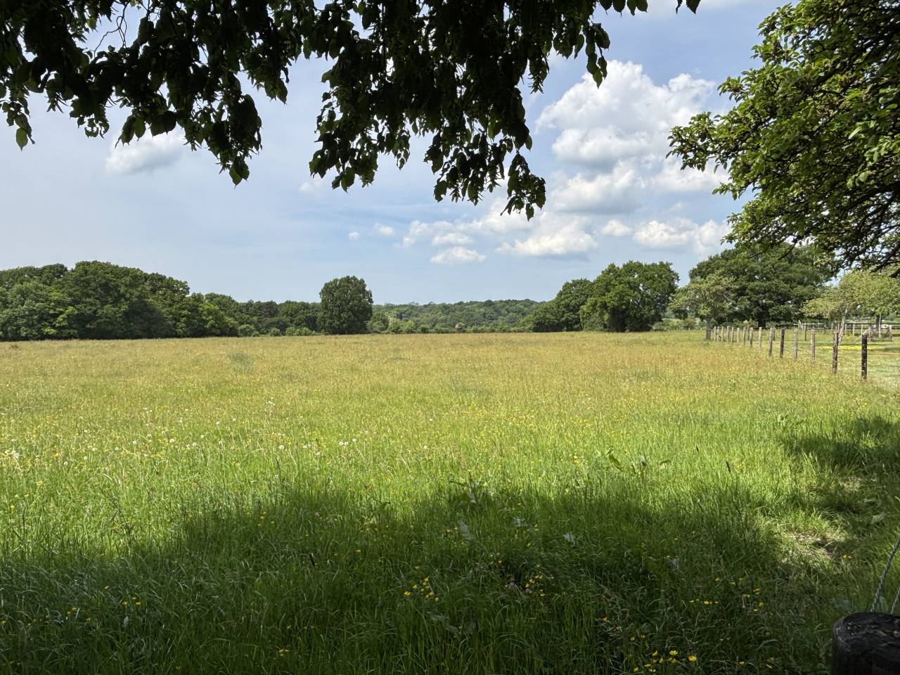 Proprietà equestre In vendita Calvados