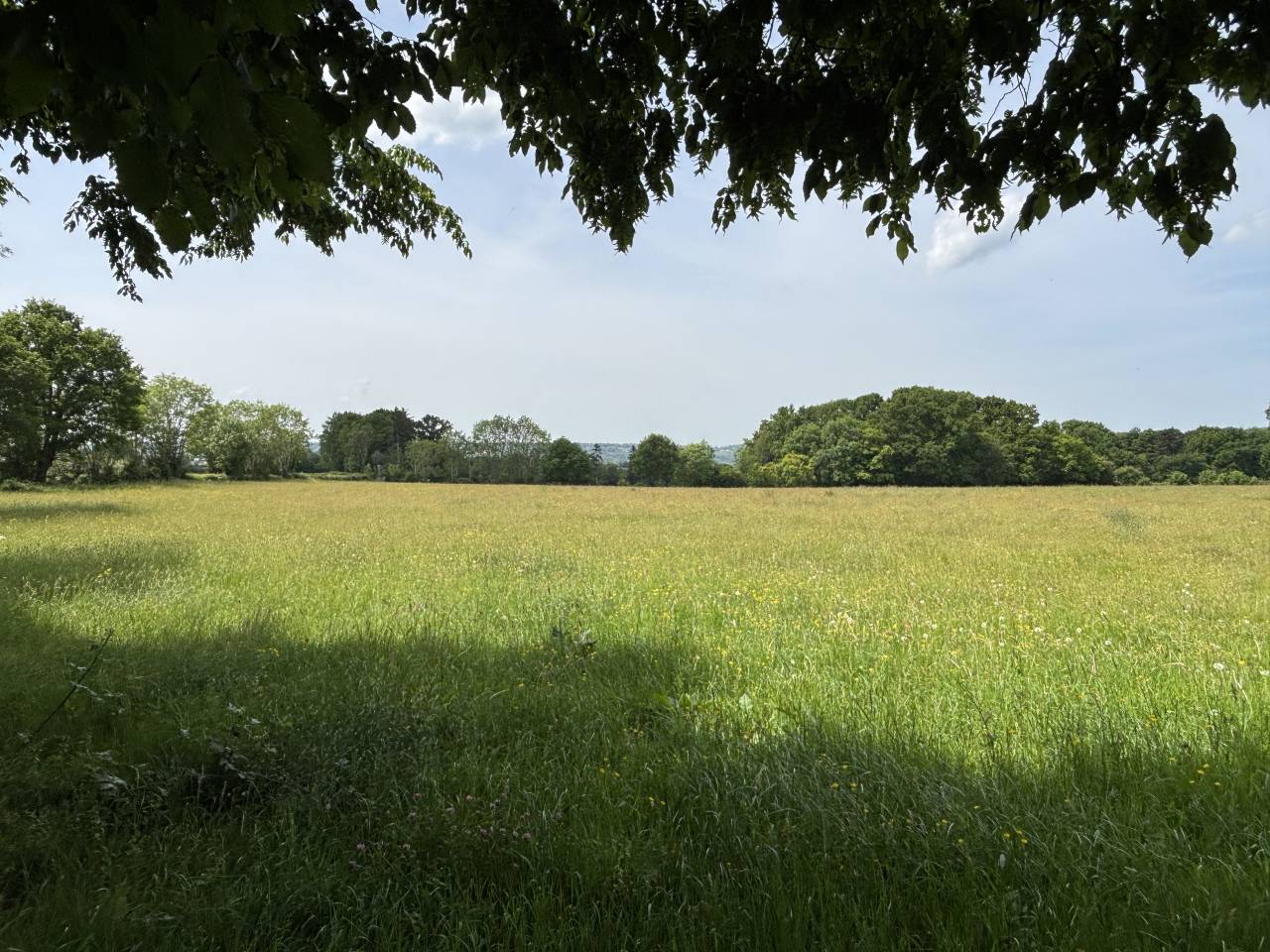 Proprietà equestre In vendita Calvados