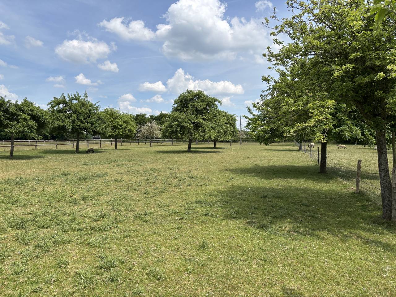 Proprietà equestre In vendita Calvados
