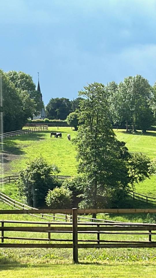 Centro di stagione cavallo In vendita Calvados