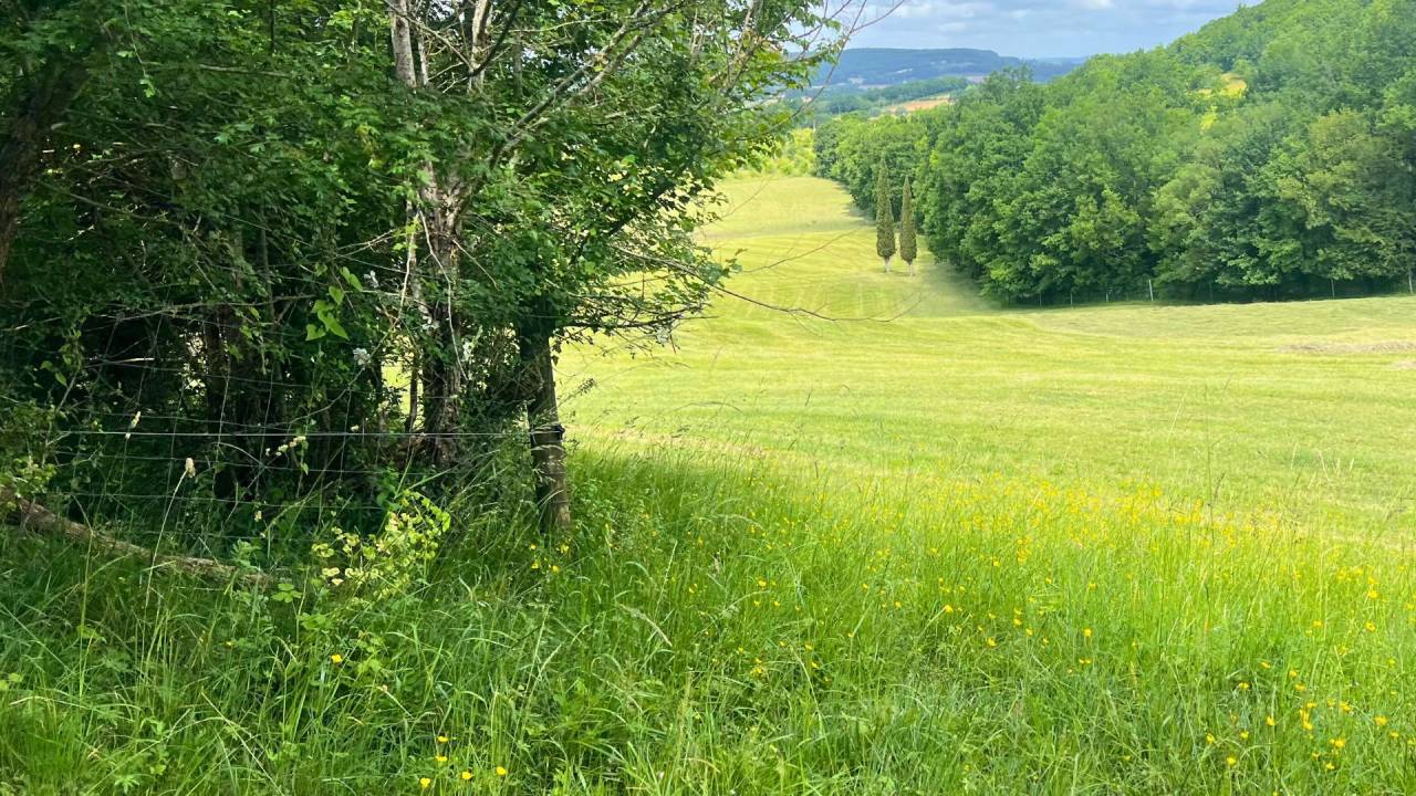 Propriet&agrave; equestre In vendita Lot-et-Garonne