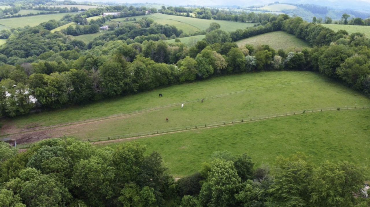 Proprietà equestre In vendita tarn