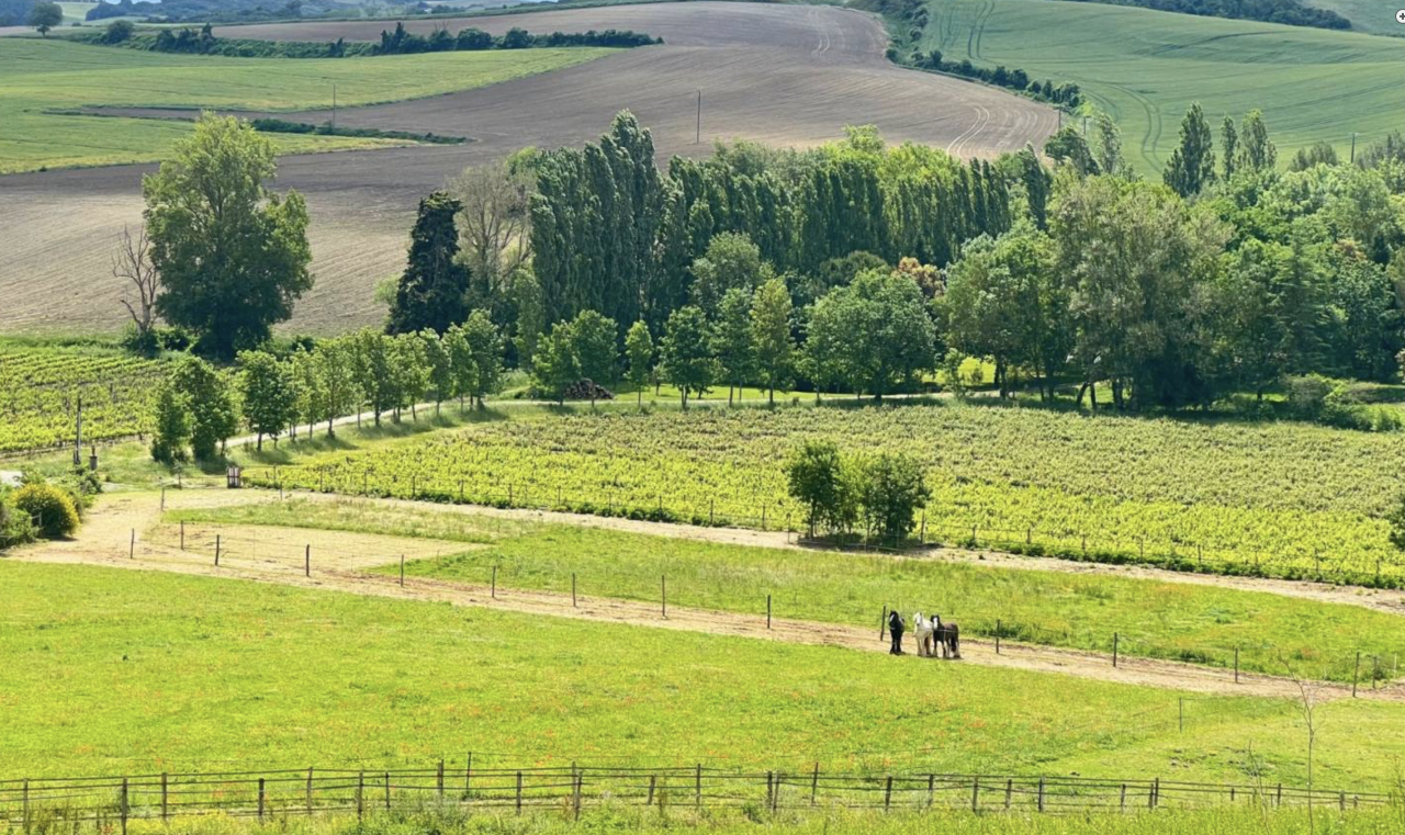 Proprietà equestre In vendita Aude