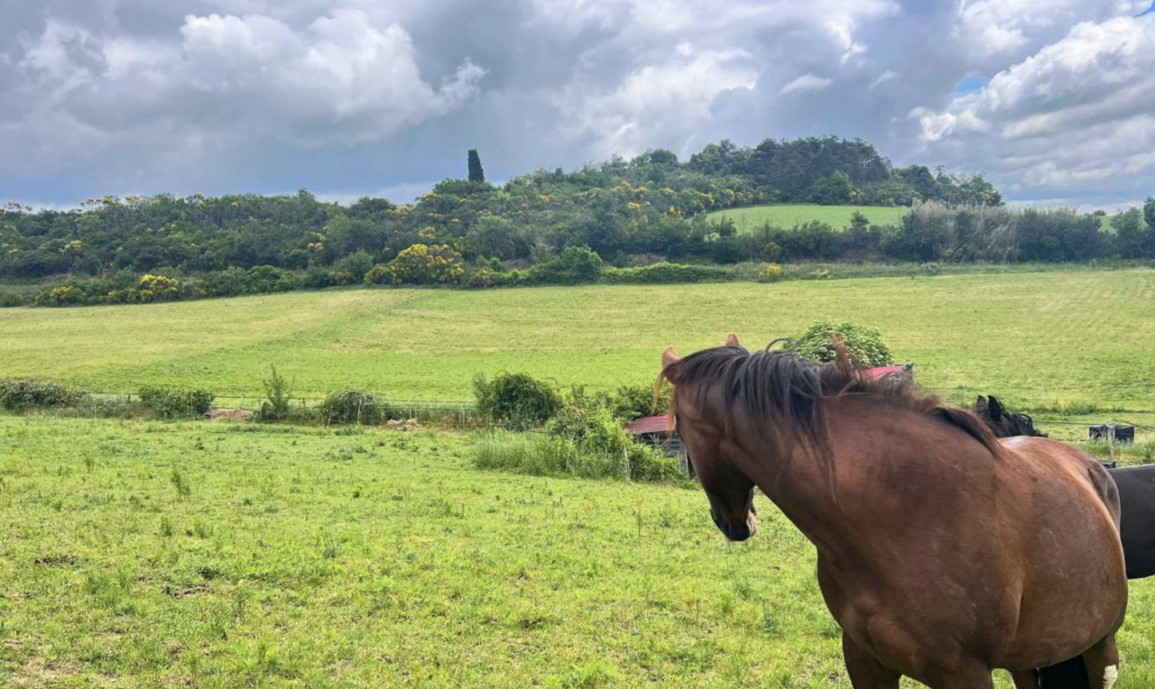 Proprietà equestre In vendita Aude