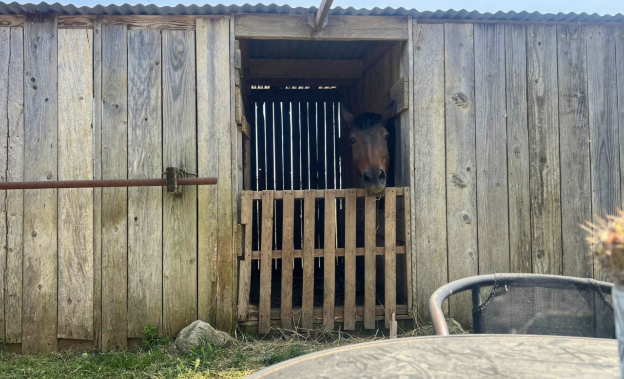 Proprietà equestre In vendita Hérault