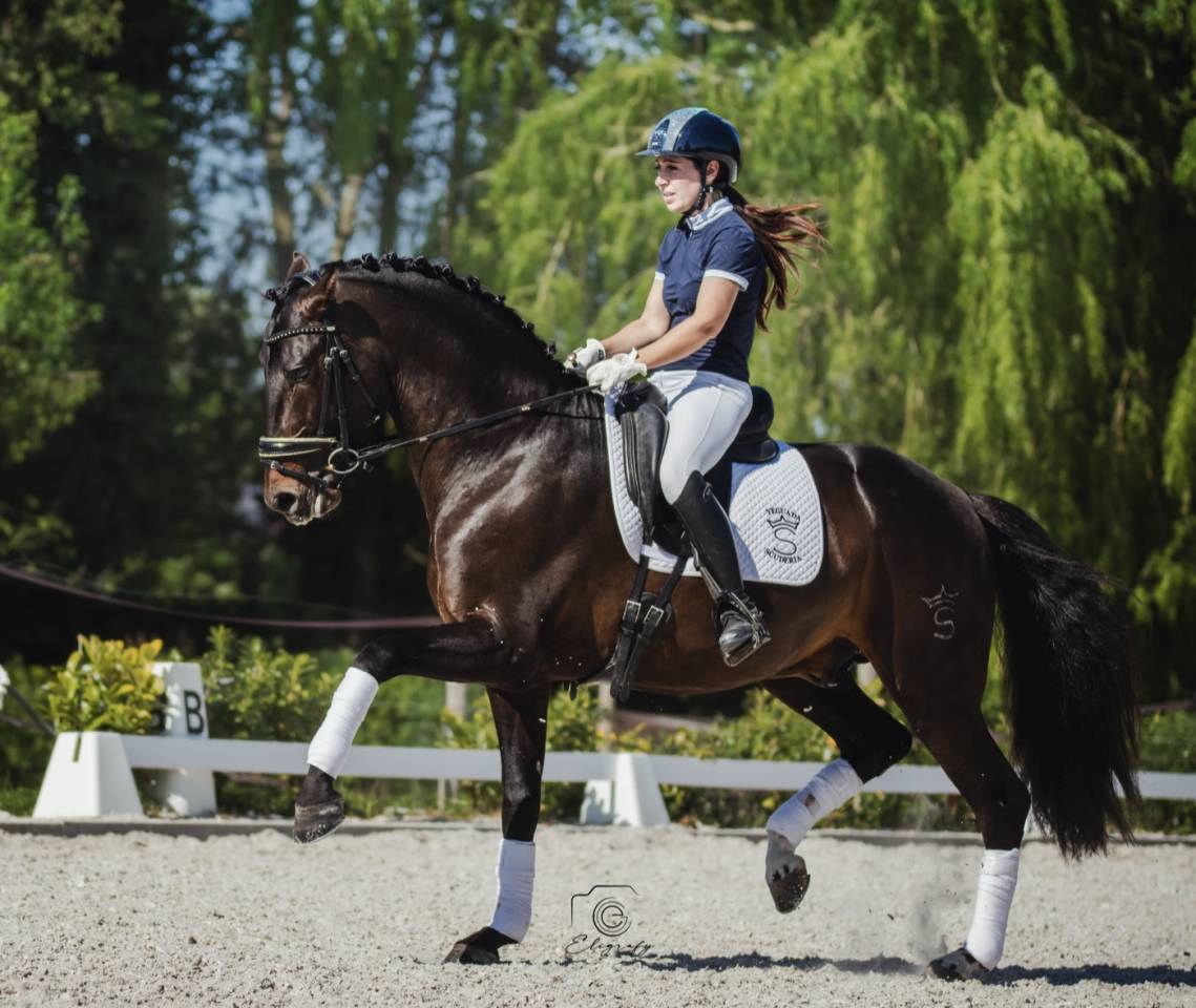 ANTARES DE SCUDERIA  - PRE Andaluso 2020 ,  Poeta de Susaeta