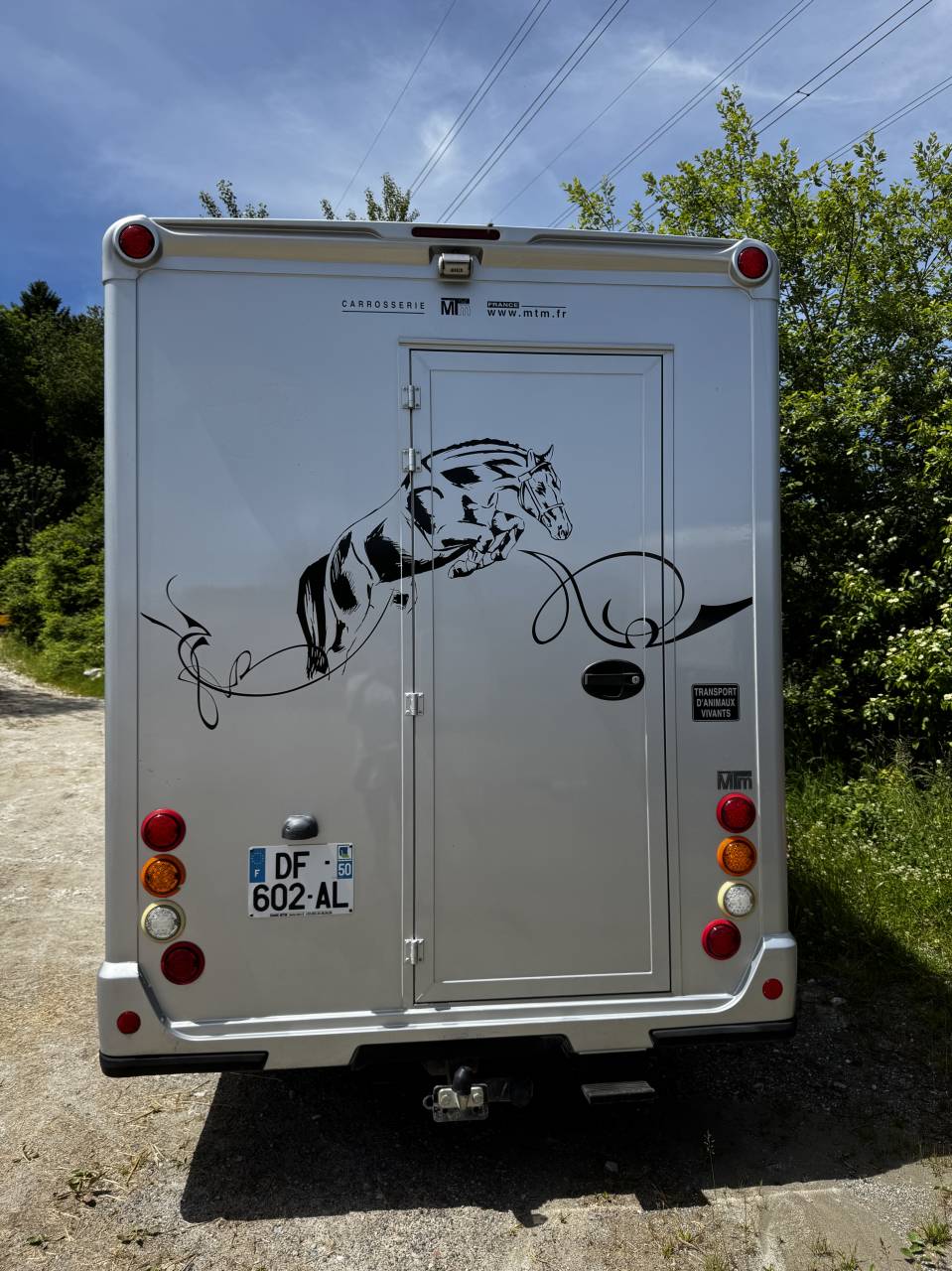 Van per Cavalli MTM  2014 Occasione