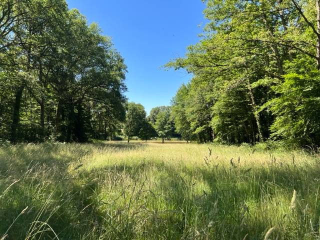 Bella dimora In vendita Haute-Vienne