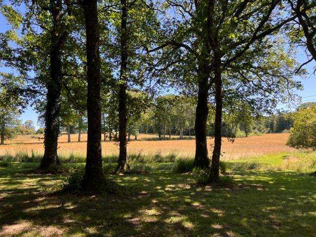 Bella dimora In vendita Haute-Vienne