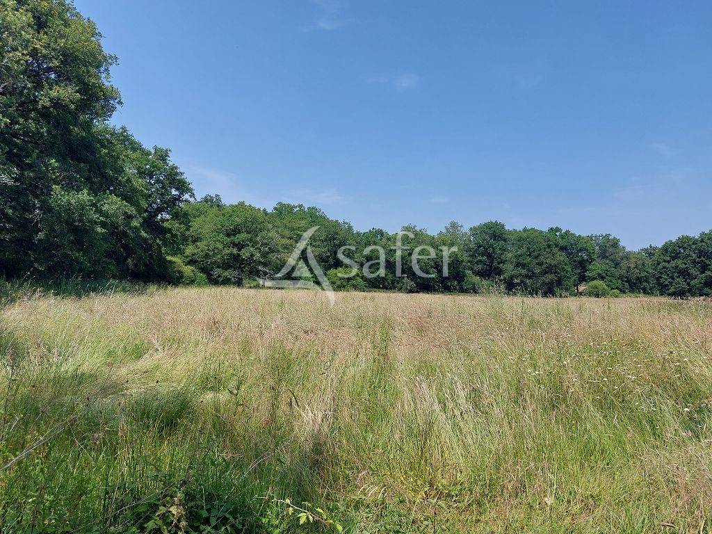 Proprietà rurale In vendita Haute-Vienne