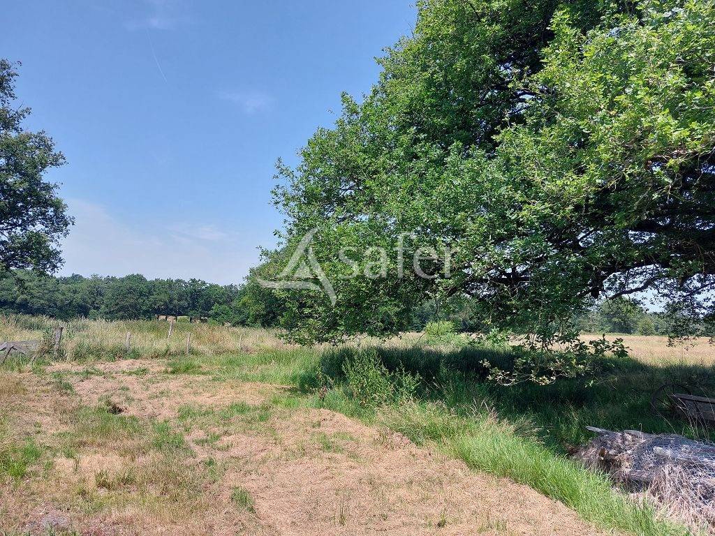 Proprietà rurale In vendita Haute-Vienne