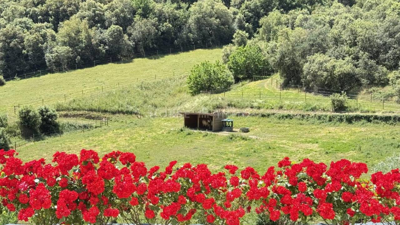 Proprietà equestre In vendita Ardèche
