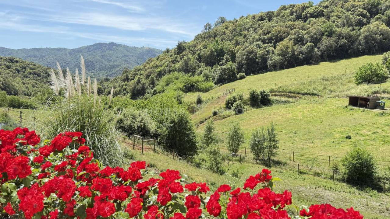 Proprietà equestre In vendita Ardèche