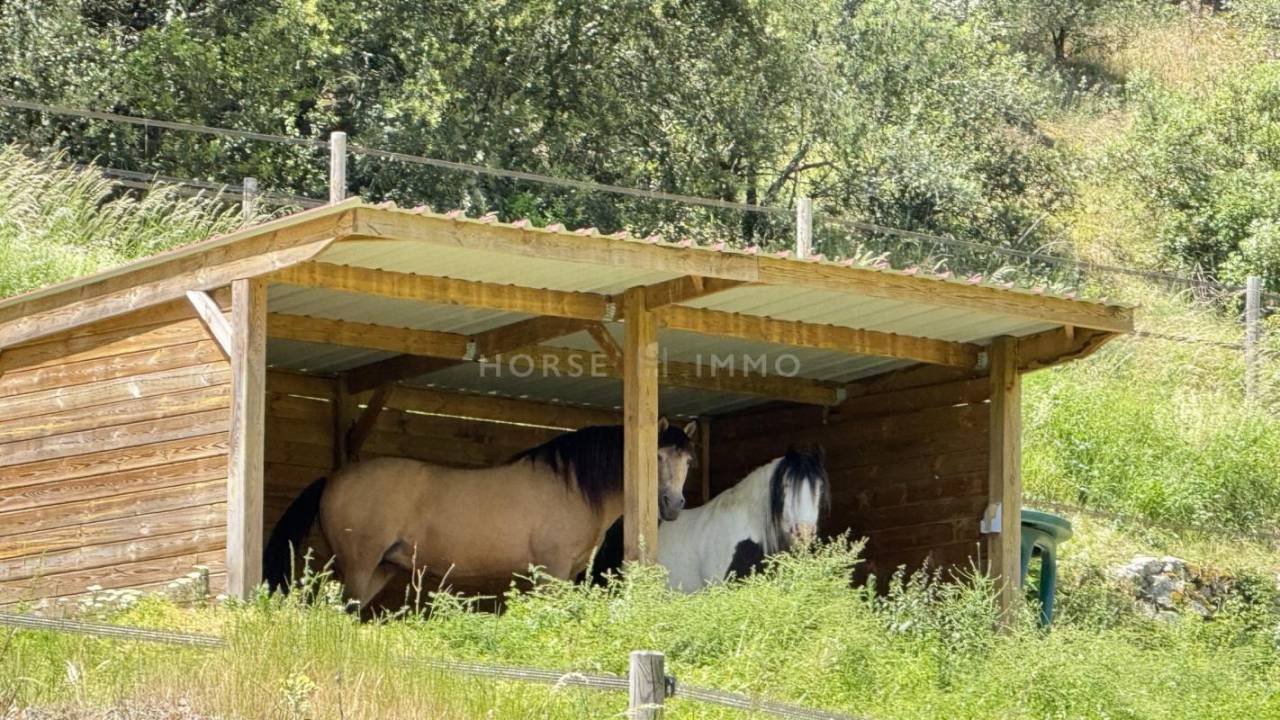 Proprietà equestre In vendita Ardèche