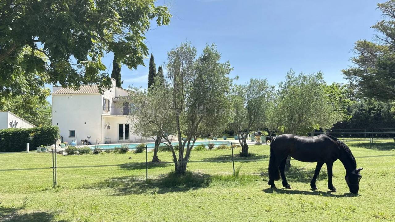 Proprietà equestre In vendita Gard
