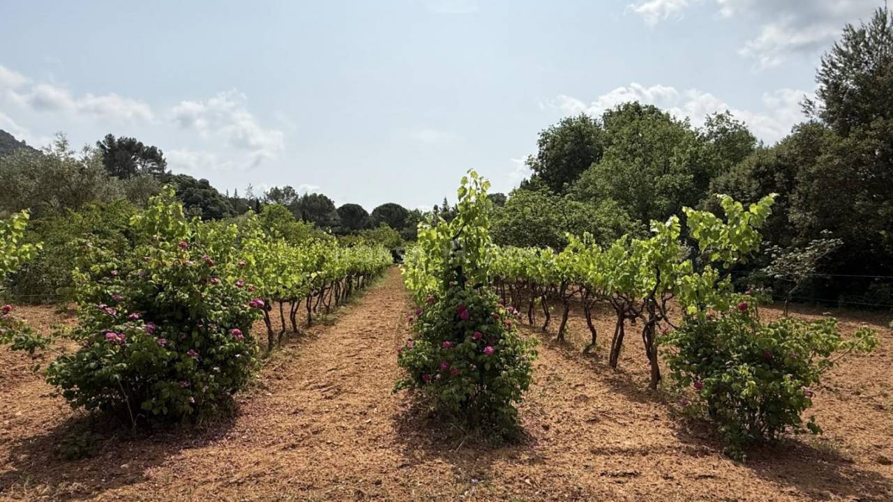 Proprietà equestre In vendita Var
