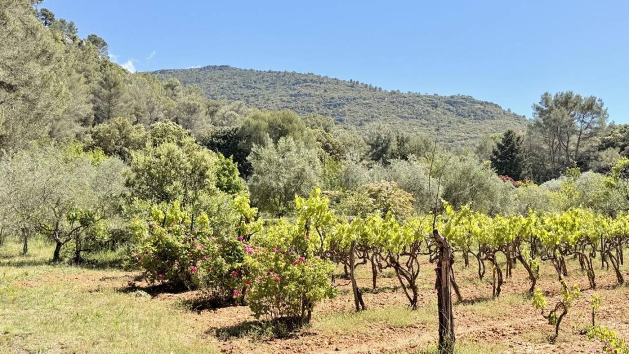 Propriet&agrave; equestre In vendita Var