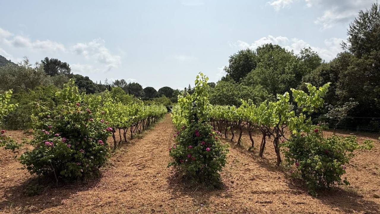 Propriet&agrave; equestre In vendita Var