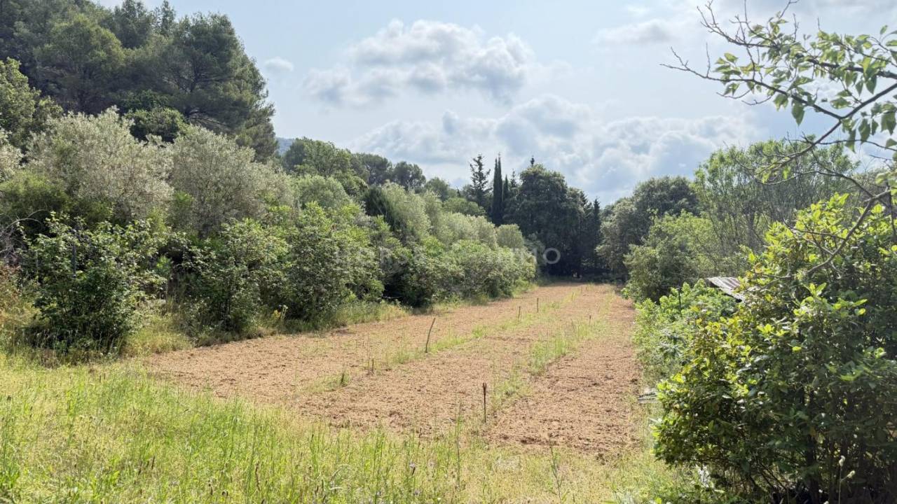Propriet&agrave; equestre In vendita Var