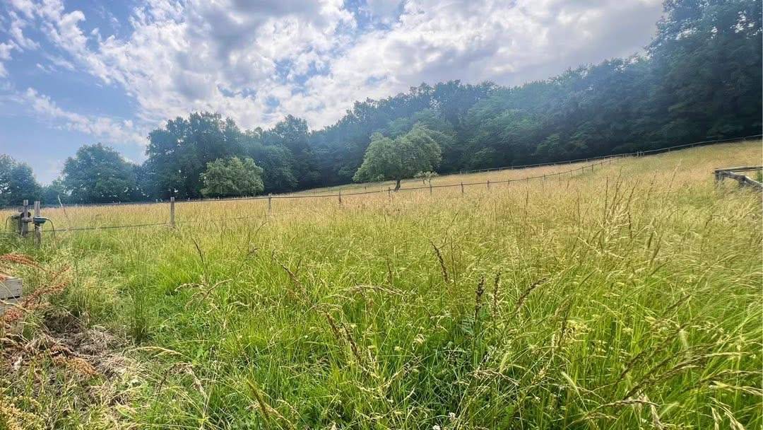 Proprietà equestre In vendita Tarn-et-Garonne
