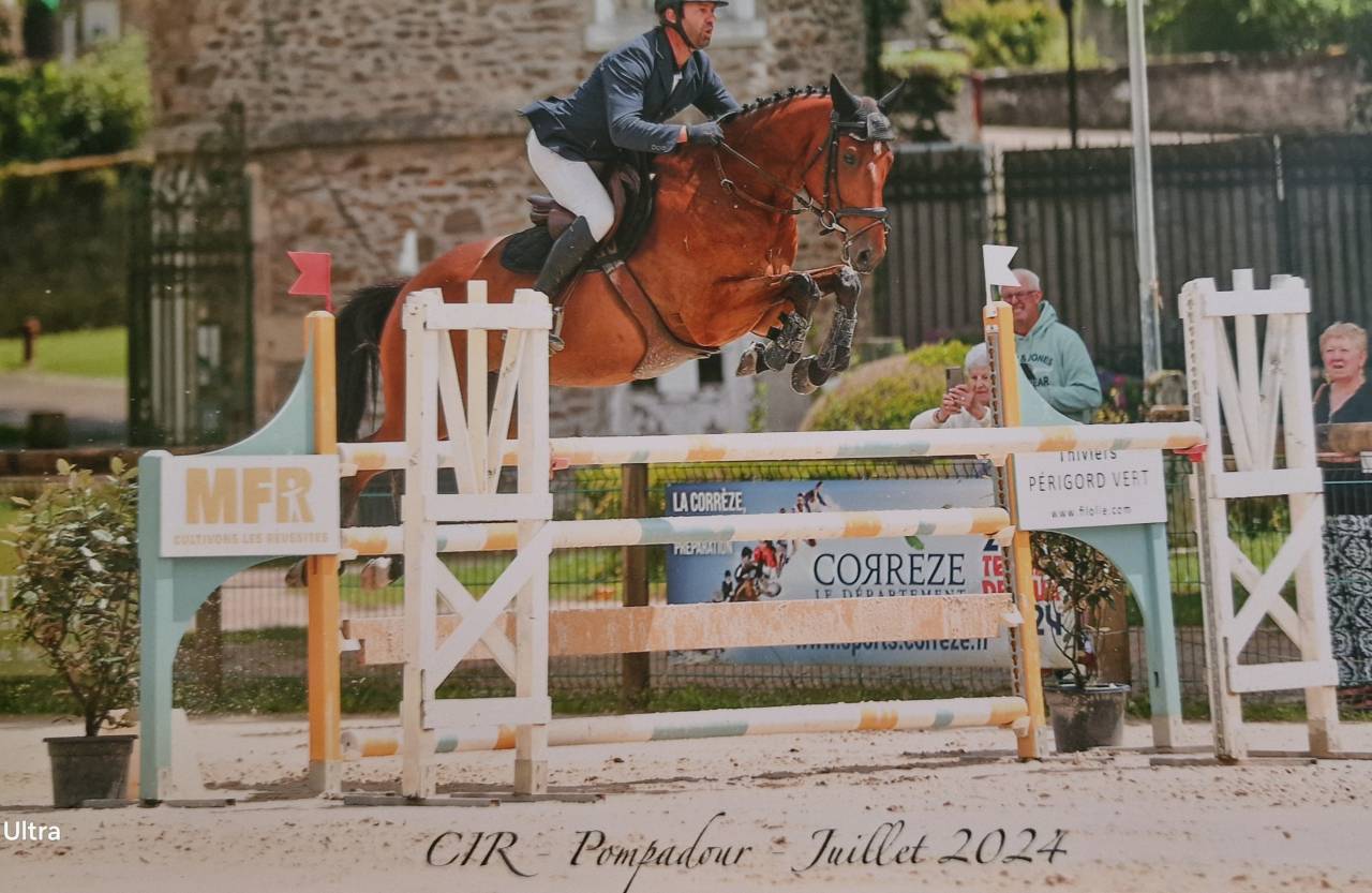 Castrone Sella Francese In vendita 2018 Baio ,  AMANT DU CHATEAU