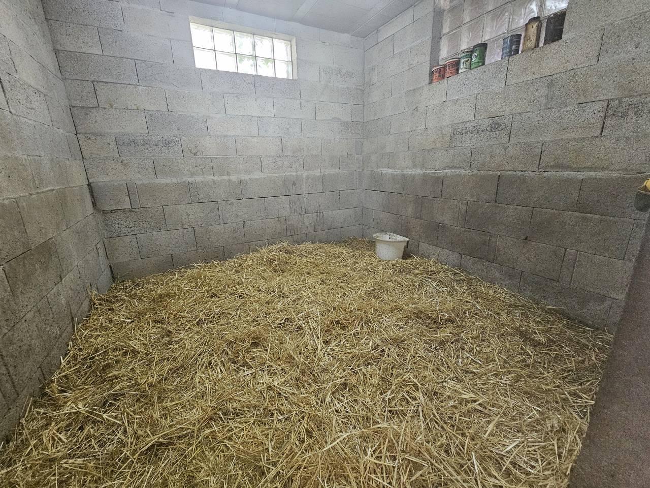 Proprietà equestre In vendita Charente-Maritime