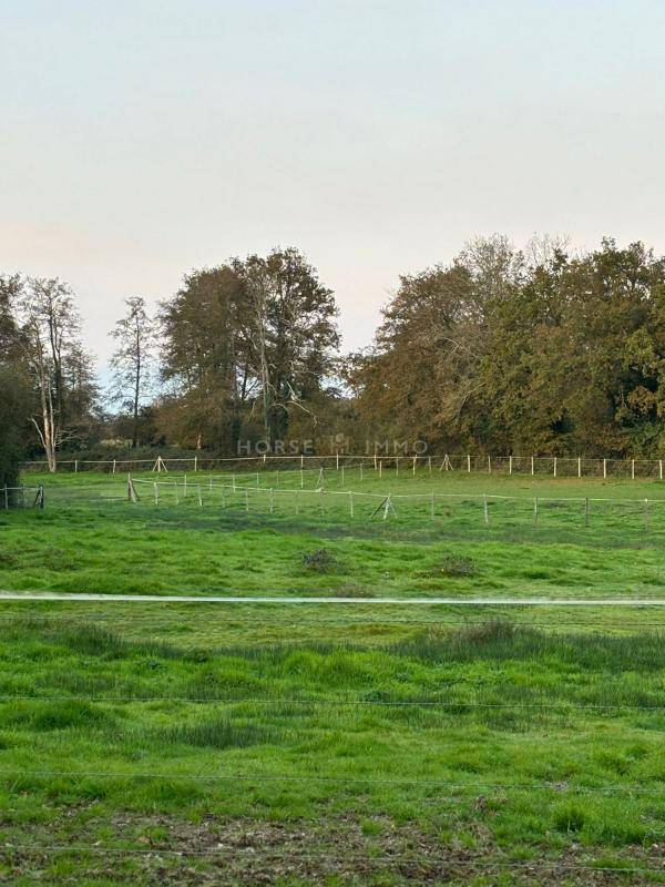 Proprietà equestre In vendita Vendée