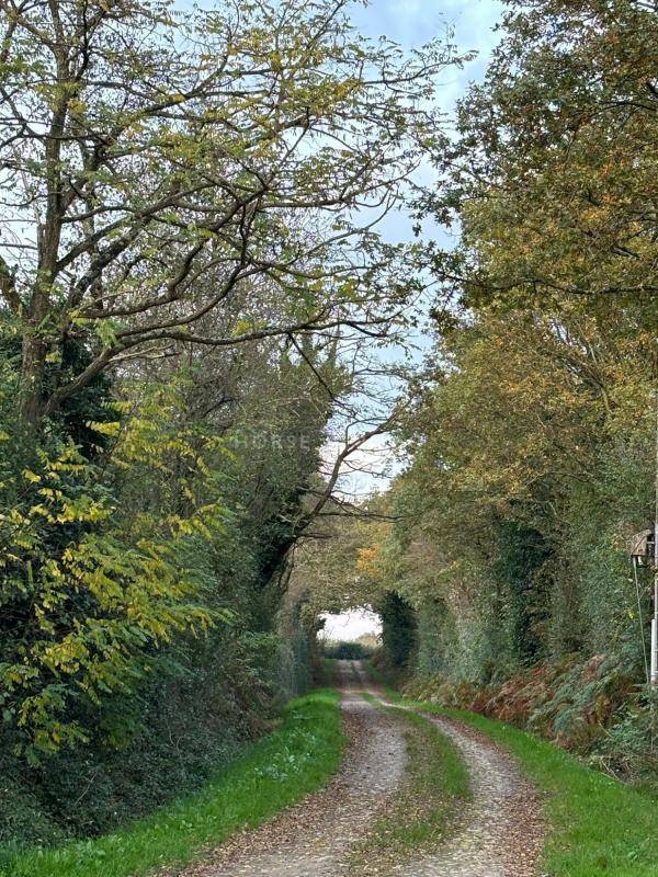 Proprietà equestre In vendita Vendée