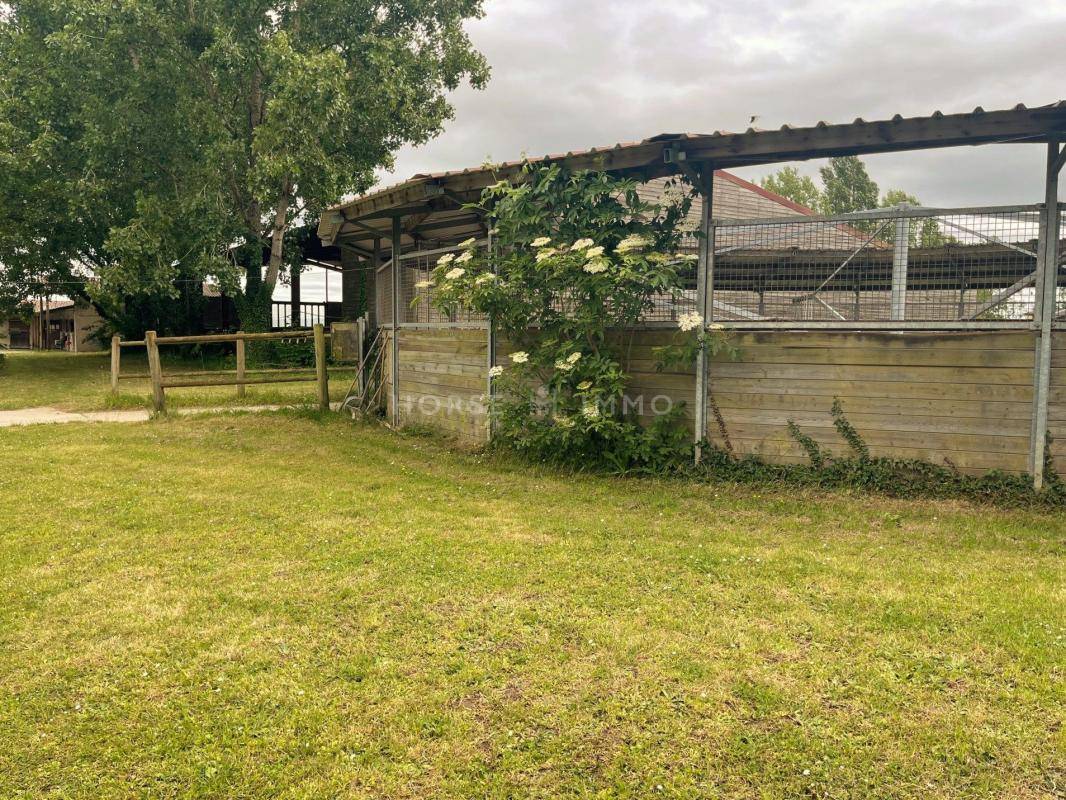 Centro di stagione cavallo In vendita Seine-et-Marne