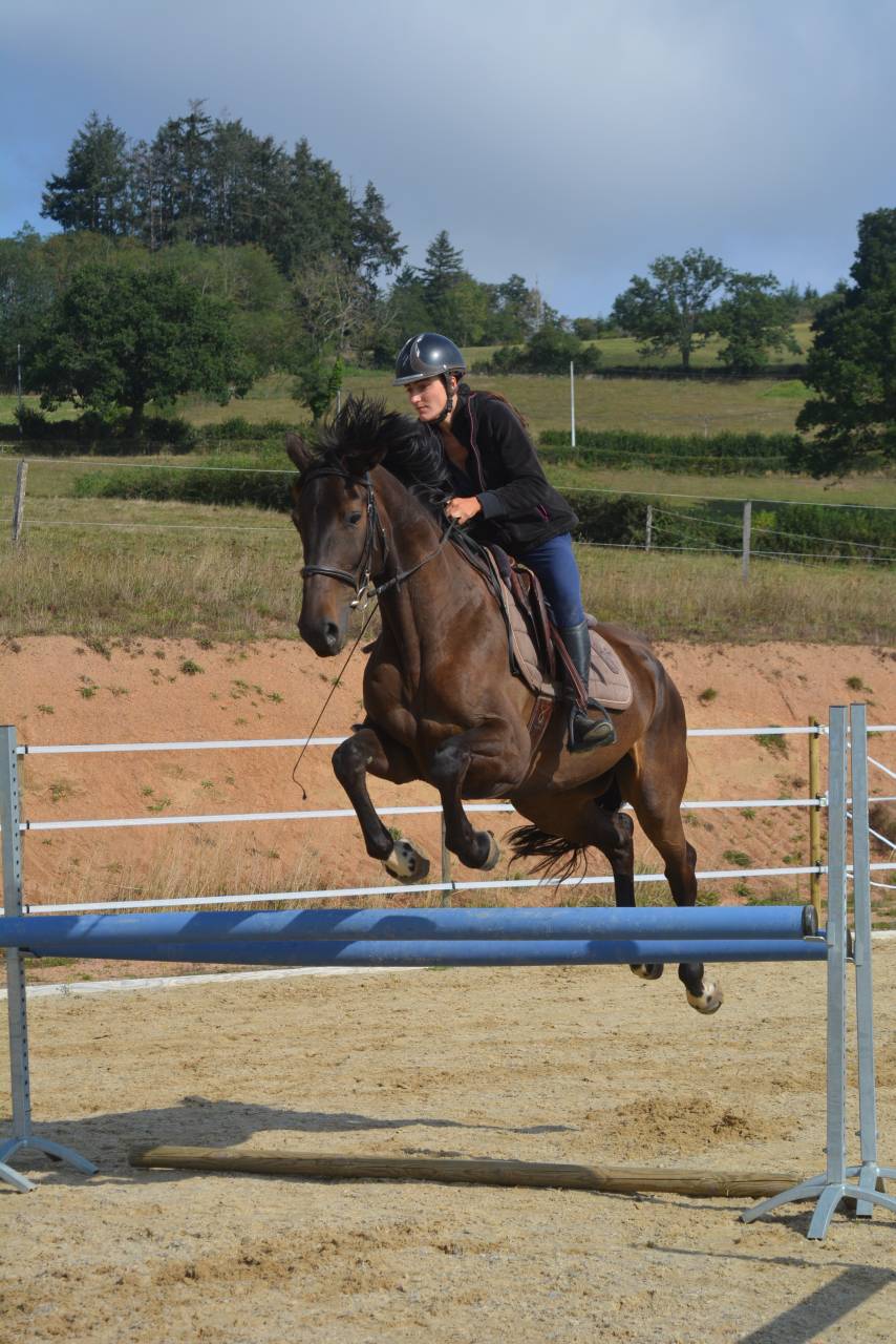 Stage equitazione etologica Saône-et-Loire